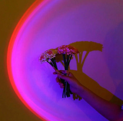 Aurora Sunset Projector – 180° Adjustable Halo Lamp with 16 Ambient Colors